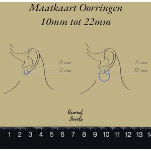 Stalen Zwarte Oorringen