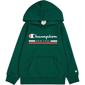 Champion Graphic Logo Fleece Hoodie Junior - Maat S