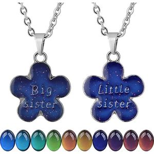 Bixorp Friends BFF Ketting voor 2 met Bloemetjes - Verandert van kleur! - Zilverkleurig - ""Big Sister Little Sister""Vriendschapsketting