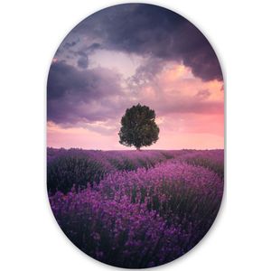 Lavendel - Bloemen - Paars - Boom - Natuur Kunststof plaat (3mm dik) - Ovale spiegel vorm op kunststof