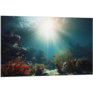 Vlag - Zee - Onderwater - Zon - Vissen - Koraal - 105x70 cm Foto op Polyester Vlag