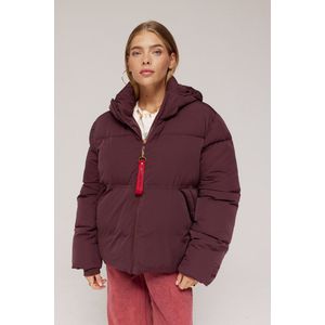 Harper & Yve - Karly - Winterjas - Bruin