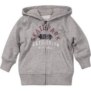 Minoti - Jongens Sweater met Rits en Hoodie - Skate Park - Maat 2 jaar - 92