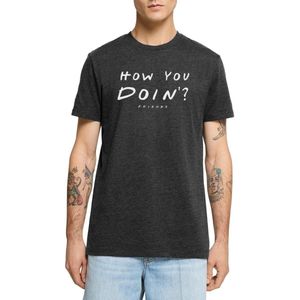 Friends How You Doin' Citaat Premium T Shirt Heren