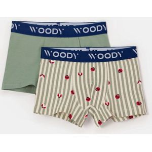 Woody duopack boxershort jongens - khaki/lieveheersbeestjes all-overprint - 251-10-CLD-Z/012 - maat 116