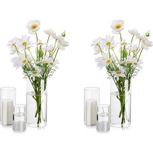 Decoratieve vaas, glazen cilinder, tafeldecoratie, set van 2 bloemen, moderne glazen vaas, rond, glazen cilinder, bloemenvaas, tulpenvaas, tafelvaas