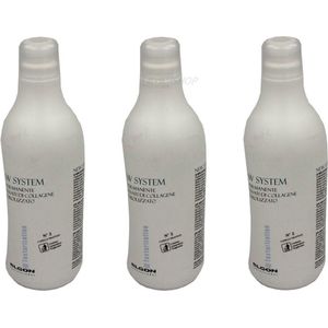 Elgon - New System no. 2 Perm voor behandeld haar - Multipack 3x1000ml