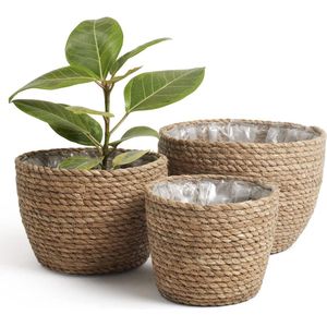 Elektrische Nagelknipperset 3-in-1 - Nageltrimmer - Manicure en Polijstset - 3 Snelheden - Oplaadbaar - Verschillende Soorten Nagelpolijstkoppen .