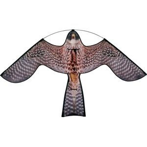 Hawk kite met roofvogelprint