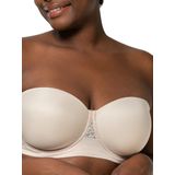 Triumph - Vivid Spotlight - BH