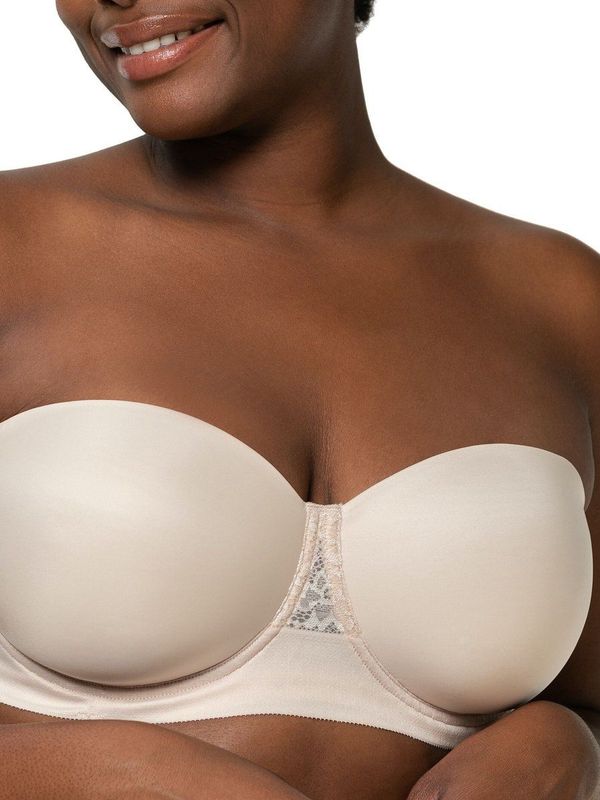 Triumph - Vivid Spotlight - BH