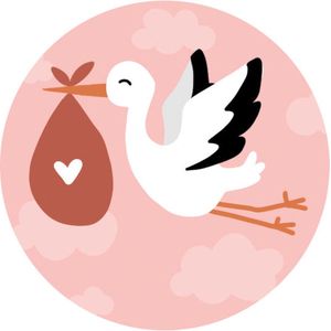 20 Stickers Ooievaar Roze - Sluitsticker envelop - baby geboren - kraamcadeau - geboortekaart - wensetiket - meisje - geboortepost - Hippekaartjeswinkel