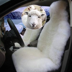 Dikke Schapenvacht Autostoelhoes voor Universele Pasvorm – Comfort en Veiligheid voor Auto's