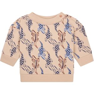 Noppies Trui Oroville Baby Maat 68