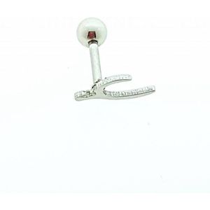 Fantasie Helixpiercing - Zilverkleurige Helix Piercing