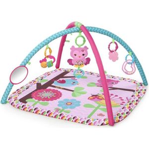 Pink Charming Chirps Activity Gym