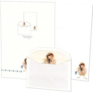 Briefpapier met enveloppen: Charmeur, Angelique Weijers