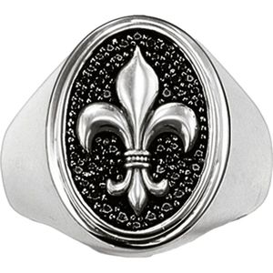Thomas Sabo - TR1803-051-11 - Ring - Zilver - Zirconia