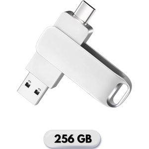 Usb stick 256 GB | Perfect Speed - Usb Stick zilver - Flash drive - USB 3.2 - USB C - High Speed |3 jaar garantie