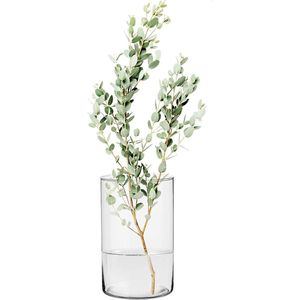 Bloemenvaas, 21.5 cm, glazen vaas, cilinder vaas, tulpenvaas, grote decoratieve vaas, glazen cilinder met bodem, kaarsglazen, glazen vazen, helder glas, rond, 13.5 cm, fleur