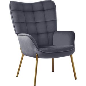 Moderne fauteuil fauteuil voor woonkamer