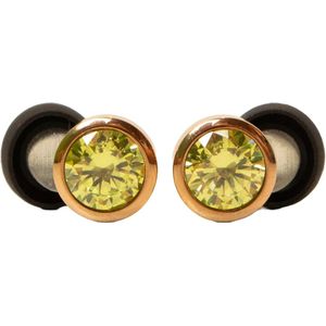 Oordoppen festival Earbling | Oordoppen | Partyplugs | (14dB) | XS/S/M/L - super comfortabel - muziek, concerten, events, focus en reizen - Rosé Goud Appelgroen