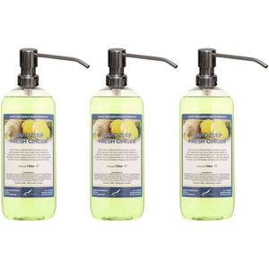 Handzeep Fresh Ginger 1 liter - set van 3 stuks - met gratis RVS zilverkleurige pomp - Voordeelverpakking