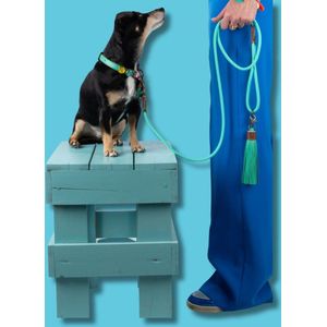DWAM Dog with a Mission Hondenriem – Riem voor honden – Turquoise – Polyester/Leer – L – 155 x 1.4 cm – Jade