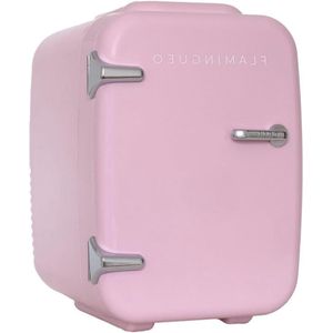 4L Mini Koelkast - Kleine Koelkast 12V/220V Met Warm en Koud Functie - Skincare Fridge Minikoelkast Voor Kamer