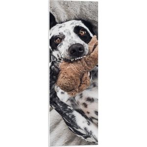 PVC Schuimplaat - Dalmatiër Hond Spelend met Bruine Knuffel - 30x90 cm Foto op PVC Schuimplaat (Met Ophangsysteem)