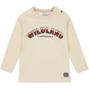 Dirkje Jongens T-shirt - Pebble