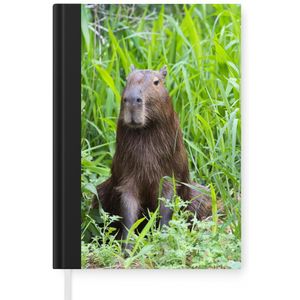 Notitieboek - Schrijfboek - Een Capibara zit in het hoge groene gras - Notitieboekje klein - A5 formaat - Schrijfblok