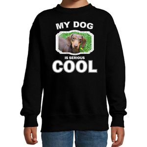 Teckel honden trui / sweater my dog is serious cool zwart - kinderen - Teckels liefhebber cadeau sweaters - kinderkleding / kleding 122/128