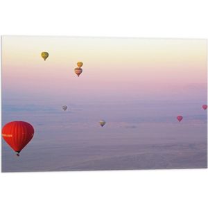 WallClassics - Vlag - Ballonvaarten in Verschillende Luchtballonnen - 75x50 cm Foto op Polyester Vlag