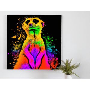 Meerkat madness kleurrijk | Meerkat madness kleurrijk | Kunst - 80x80 centimeter op Forex | Foto op Forex