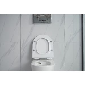 Tornado Rimless Toiletpot 53 cm met Softclose WC-bril Wit
