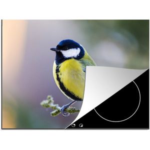 KitchenYeah® Inductie beschermer 75x52 cm - Koolmees - Vogel - Tak - Kookplaataccessoires - Afdekplaat voor kookplaat - Inductiebeschermer - Inductiemat - Inductieplaat mat