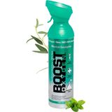 Boost Oxygen - Menthol Eucalyptus - Zuurstoffles - 9L - 95% Pure Zuurstof - Tot 200 Inhalaties