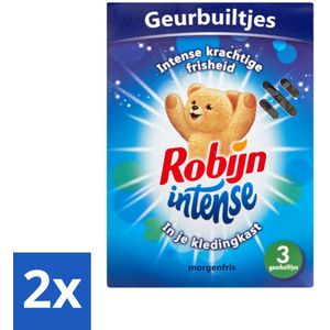 Robijn - Intense - Geurbuiltjes - Langdurige Geur - Intense Frisheid - 3 Geurbuiltjes - Voordeelverpakking - 2 stuks