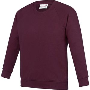 Awdis Academie Kinderen/Kinderen Bemanningsleden Hals Raglan School Sweatshirt (Bourgondië)