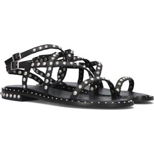 Ash Petra Sandalen - Dames - Zwart - Maat 38