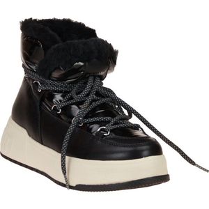 D. Franklin Sneaker Boomb Court Black