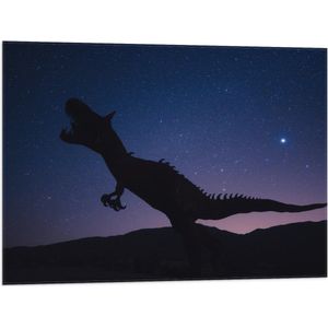 WallClassics - Vlag - Silhouette van een Dinosaurus in de Nacht - 80x60 cm Foto op Polyester Vlag