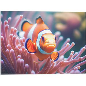Vlag - Oranje Clownvis zwemmend tussen Roze Koraal - 40x30 cm Foto op Polyester Vlag