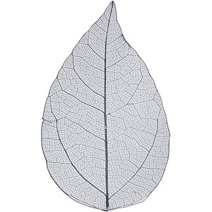 Skeleton leaves . L: 6-8 cm. blauw. 20 stuk/ 1 doos