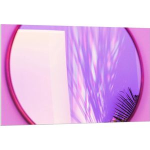 Forex - Roze Spiegel met Grassen - 120x80cm Foto op Forex