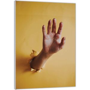 Acrylglas –Hand door Gele Muur– 80x120 (met ophang)