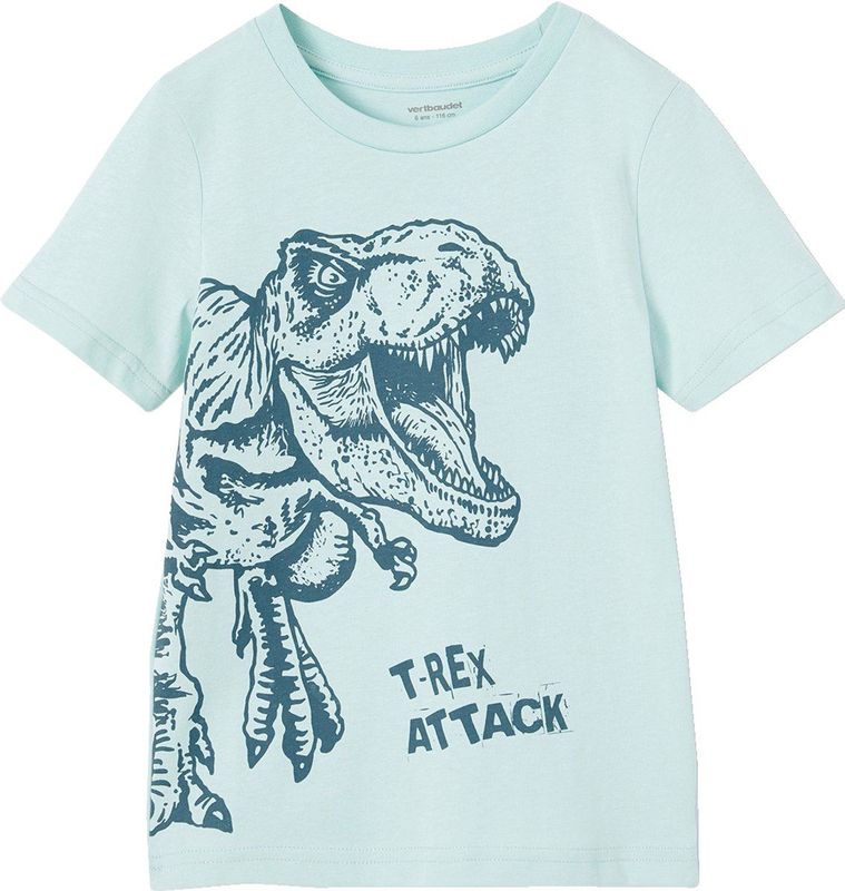 Basics - Jongensshirt - Blauw - Met Print Op De Voorkant