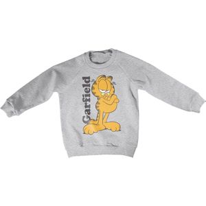 Garfield Sweater/trui kids -Kids tm 4 jaar- Garfield Grijs