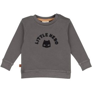 Frogs and Dogs - Little Hero Baby Pants Striped | Smoked Pearl - Katoen - Maat 86